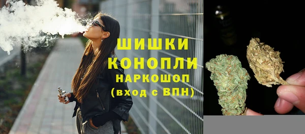 твердый Козельск