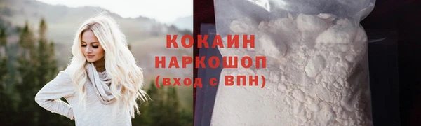 твердый Козельск