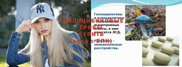 spice Корсаков