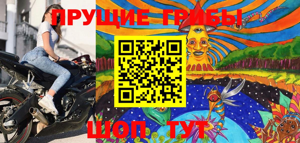 Псилоцибиновые грибы Cubensis  Вход с VPN  Кинешма 